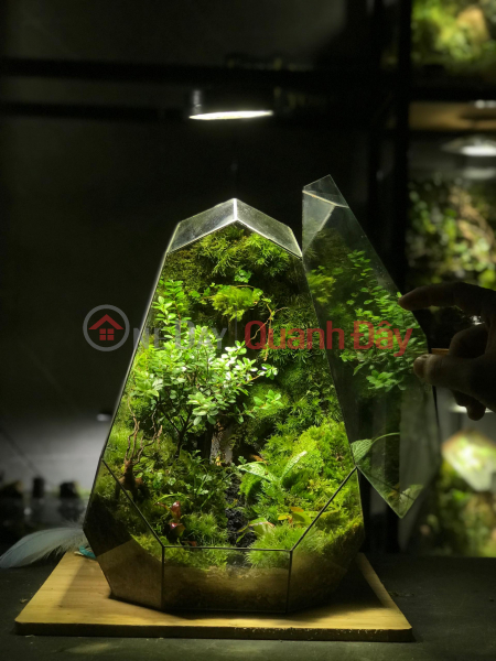 for rent Rental Listings (TTA-661739842)