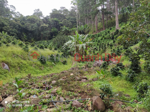 ĐẤT ĐẸP - GIÁ TỐT - Cần Bán Nhanh Lô Đất Vườn Tại Thác Prenn Thành Phố Đà Lạt _0