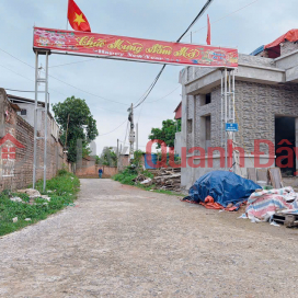 OPENING FOR SALE A TOTAL OF 7 LOTS AT THANG TRI MINH PHU SS HANOI, AREA 110 M, RESIDENTIAL LAND, BEAUTIFUL SPARE Plot -- PRICE COMMITMENT _0