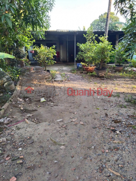 đ 41.5 Billion, Owner Needs To Sell Land Plot With House In Tan Xuan Commune, Hoc Mon, Ho Chi Minh City