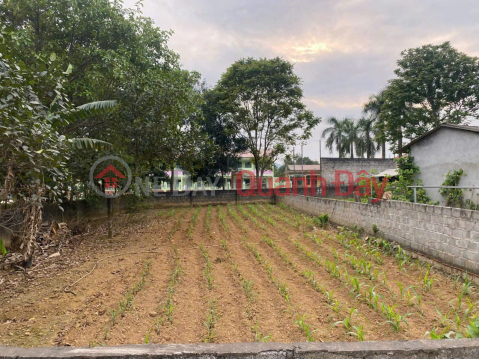 RARE LAND PLOT FOR SALE - 293M² LOCATED 500M FROM THE HO CHI MINH CITY HIGHWAY – Vai Village, Lac Thuy District, Hoa Binh Province _0