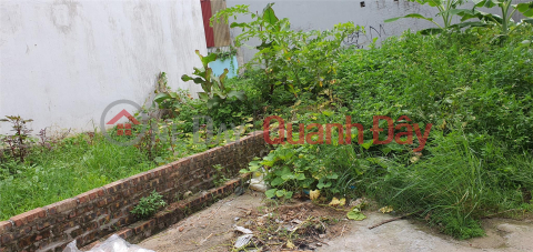 Right on Christmas day, Bac Hong residential land is sold at a price to welcome spring _0