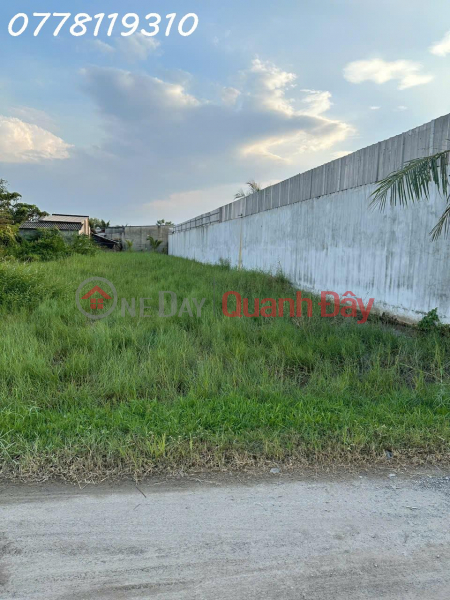 Property Search Vietnam | OneDay | Residential | Sales Listings | Owner needs to sell 600m2 of land on Bau Sen street, Hoa Khanh Dong commune, Duc Hoa, investment price