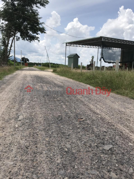 ₫ 550 Million | BEAUTIFUL LAND FOR OWNER - GOOD PRICE - At Suoi Dop Hamlet, Thai Binh Commune, Chau Thanh District - Tay Ninh