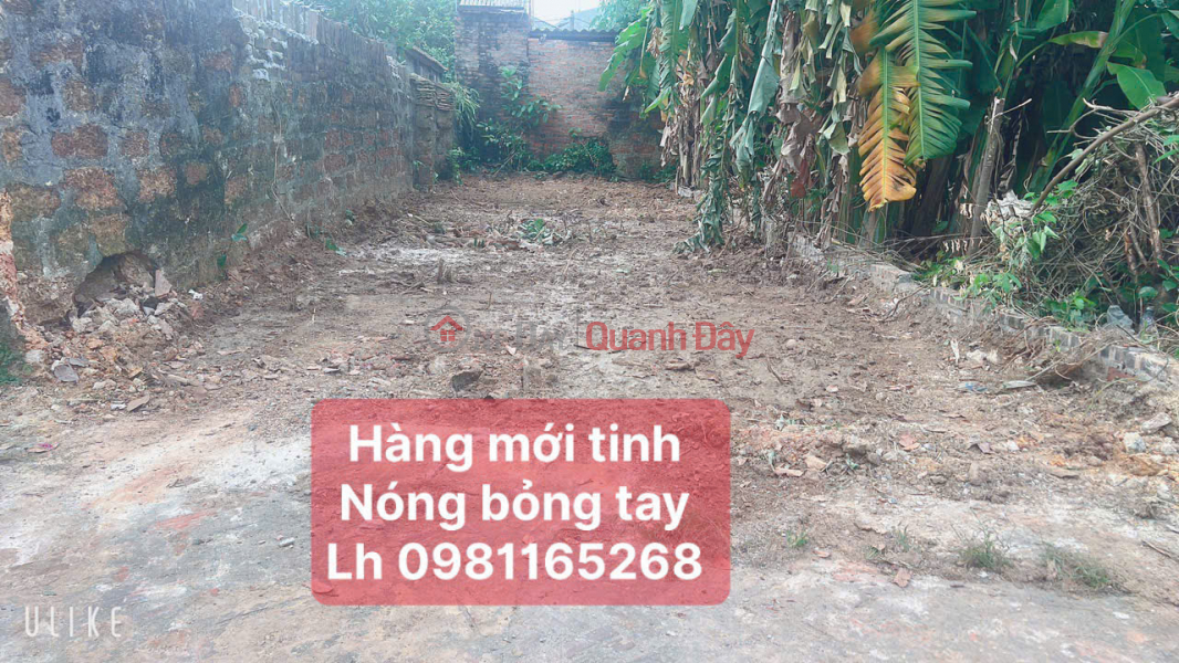 đ 1.52 Billion | AROUND THE PRICE UNDER BILLION, AREA 77.9 METERS, RESIDENTIAL LAND IN THAI LAI, MINH TRI, CONVENIENT TRANFORCEMENT