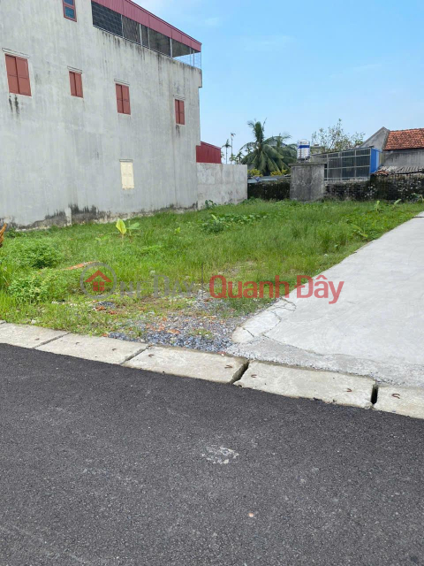 Beautiful Land - Good Price - Owner Needs to Sell a Lot of Land in a Good Location in Thuy Nguyen, Hai Phong City _0