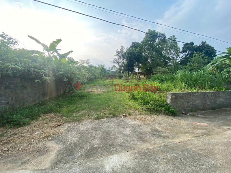 Property Search Vietnam | OneDay | Nhà ở, Niêm yết bán CC Bán đất mặt đường QL 32C, 136m KINH DOANH ngay cổng Chính Đền Hùng - Việt Trì, Phú Thọ. Chỉ 2 tỷ 88