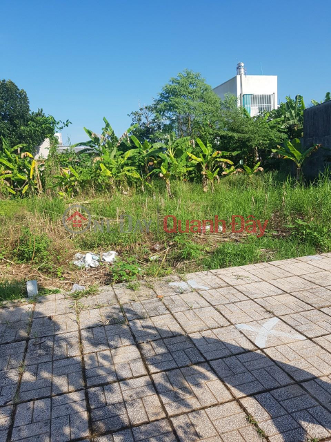 OWNER Sells Land Plot Location At Provincial Road 854, Tan Nhuan Dong, Chau Thanh, Dong Thap _0