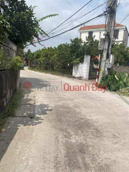 Selling 720m2 of land in Chuong Duong, Thuong Tin. Sales Listings