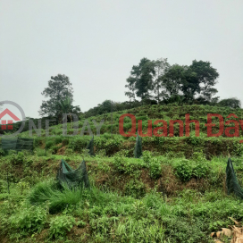 LAND SALE IN BAO LOC – LOC THANH – LAM DONG – 0984 96 70 76 _0