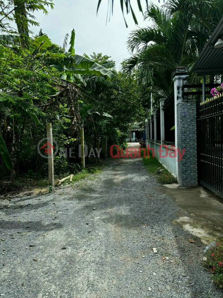Property Search Vietnam | OneDay | Residential | Sales Listings | FAMILY LAND FOR SALE WITHOUT INVESTMENT OF 580M FOR EXACTLY 2.9 BILLION IN TAN BINH COMMUNE. THE ETERNAL . 0938974428