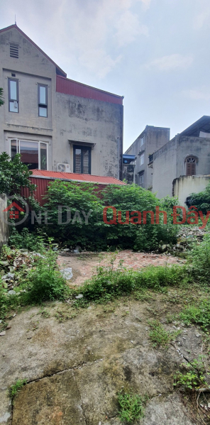 Property Search Vietnam | OneDay | Residential, Sales Listings, LAND OF BO DE STREET - TINE LANE - FACILITIES 5 - NEAR LAKE - PARK - INTERNATIONAL SCHOOL.