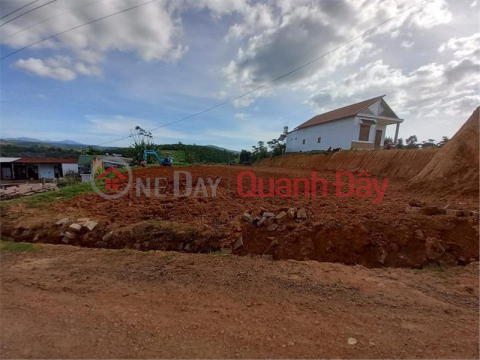 OWN NOW A Lot Of Land In Village 9, Tan Lam - Tan Lam Commune - Di Linh District - Lam Dong _0