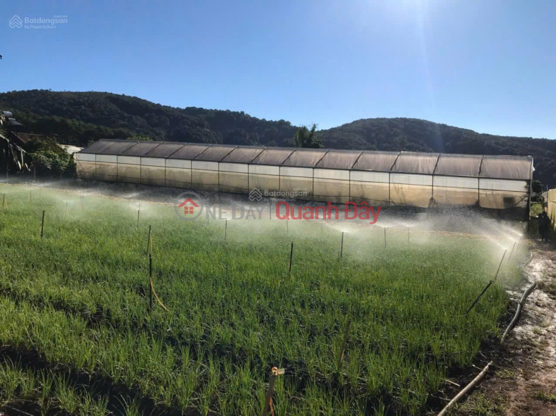 Residential land (ONT) with frontage on National Highway 725, Ta Nung, Da Lat. Gateway to Ta Nung, Nam Ban, near the market and commune office. Sales Listings