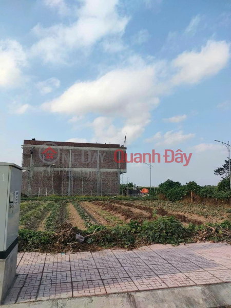 Property Search Vietnam | OneDay | Residential, Sales Listings, Beautiful Land - Good Price - Owner Needs to Sell Corner Lot in Tu Cuong Residential Area, An Cau Commune, Quynh Phu District, Thai Province