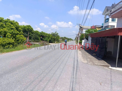 Owner Needs to Sell a Plot of Land in Quynh Minh - Quynh Phu - Thai Binh (Now Minh Tho Commune, Hung Yen Province) _0