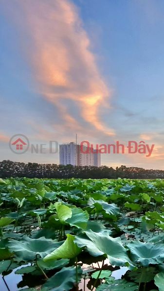 Property Search Vietnam | OneDay | Nhà ở, Niêm yết bán | Chung cư HanHomes Blue Star Tr.âu Qu.ỳ, Gia Lâm, Hà Nội. 65m2 2 ngủ. Giá tốt. Lh 0926782459.