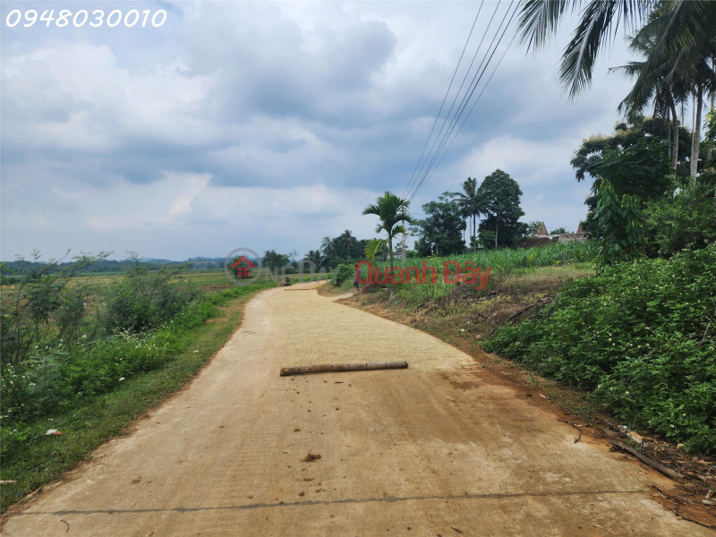 LAND FOR SALE IN MINH THANG VILLAGE, MINH SON COMMUNE, NGOC LAC DISTRICT, THANH HOA PROVINCE Sales Listings