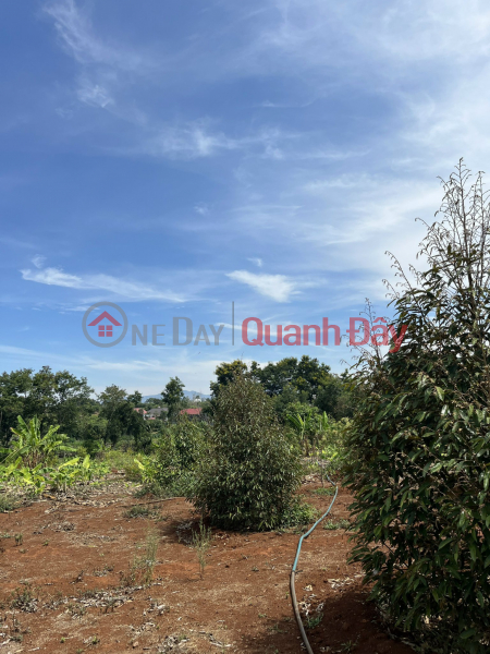 Property Search Vietnam | OneDay | Residential Sales Listings, The owner urgently sells land at a loss in the city center. Pleiku 0989174556