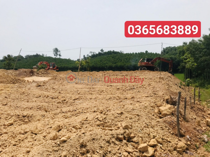 subdivision of land plot for residential area tho Binh million paint, area 200m2, Vietnam | Sales | đ 290 Million