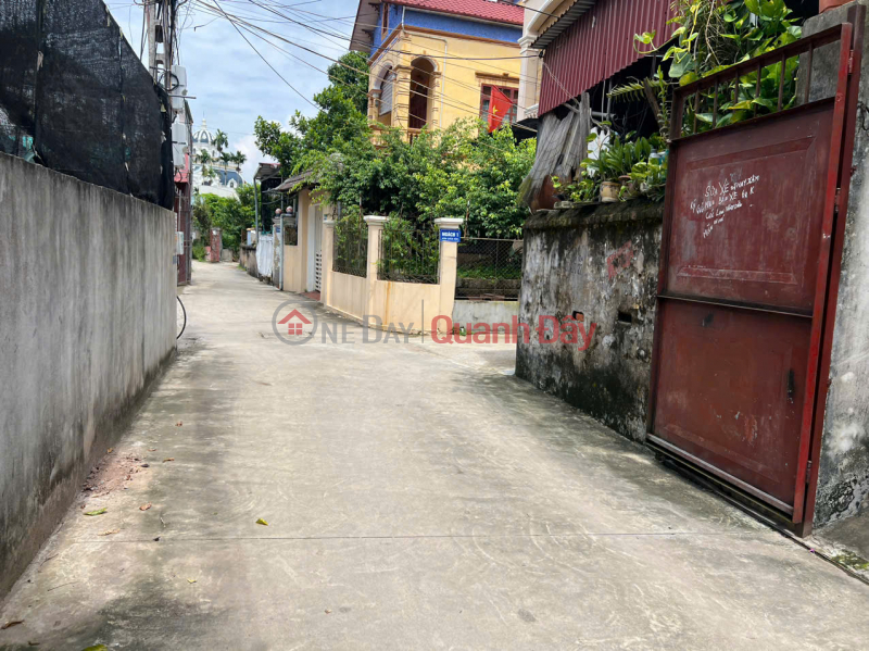 Property Search Vietnam | OneDay | Residential, Sales Listings | Selling land in Phung Cong, Ecopark neighbor, area 99.9m2, road over 4m wide, cars can go around, investment price.