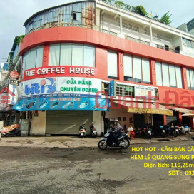HOT HOT - HOUSE FOR SALE IN A PRIME LOCATION ON LE QUANG SUNG ALLEY, WARD 6, DISTRICT 6, HO CHI MINH CITY _0