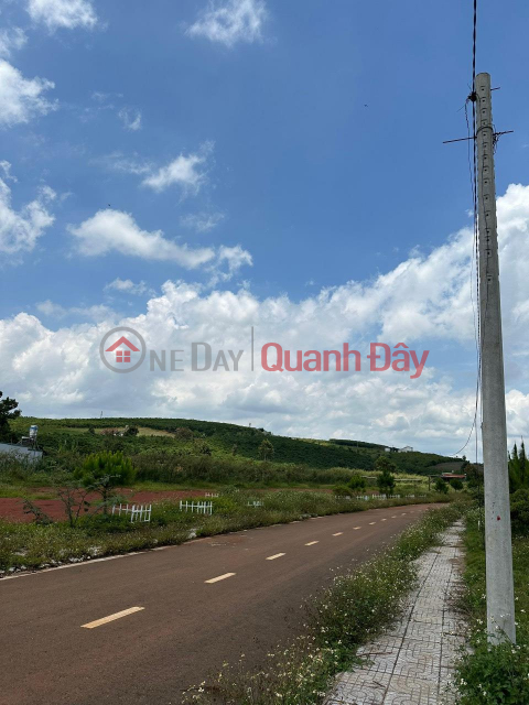 BEAUTIFUL LAND - GOOD PRICE - Owner Urgently Needs to Sell Beautiful Land Lot in Loc Quang Commune, Bao Lam District, Lam Dong Province _0