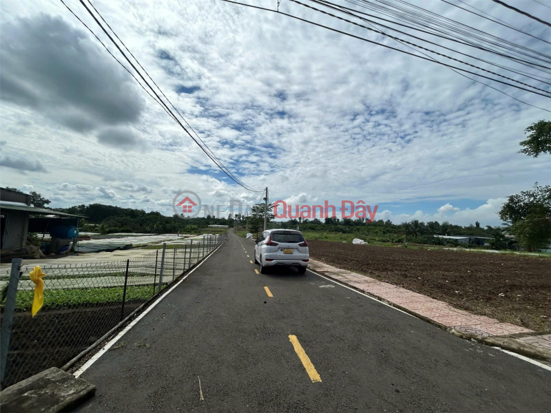 Property Search Vietnam | OneDay | Residential, Sales Listings, Beautiful Land - Good Price - Owner Needs to Sell a Lot of Land in a Beautiful Location, Frontage DT769 Right at the Gate of Long Thanh Airport