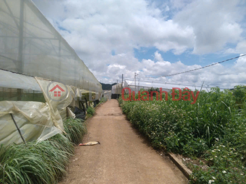 Land for sale in Van Thanh, Da Lat, more than half a sao, price 10 million\/m2 _0