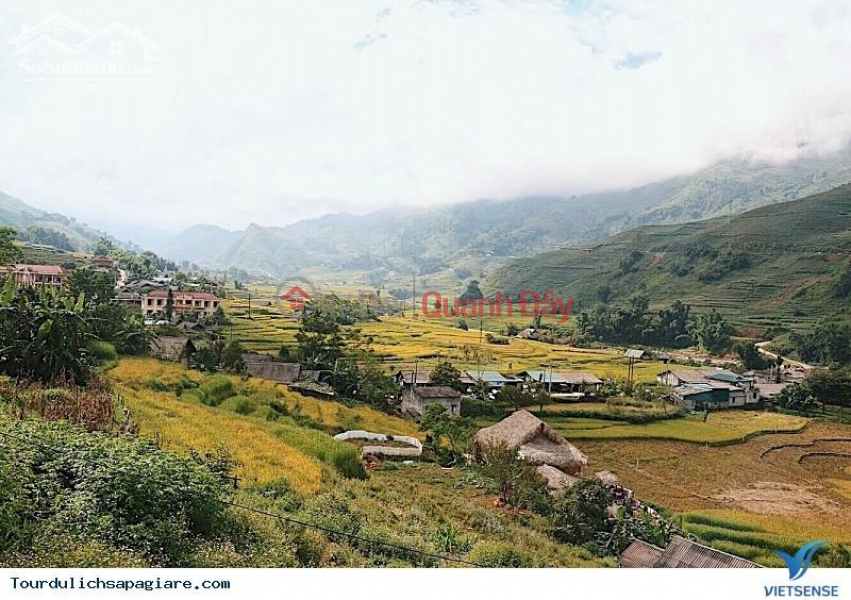 Owner needs to sell BESTVIEW LOT IN THE MIDDLE OF TA VAN COMMUNE CENTER, SAPA, LAO CAI. Sales Listings