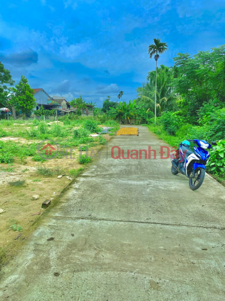 Property Search Vietnam | OneDay | , Sales Listings Need to sell a few lots bordering Da Nang, price range from 4xx-6xx near National Highway, with book