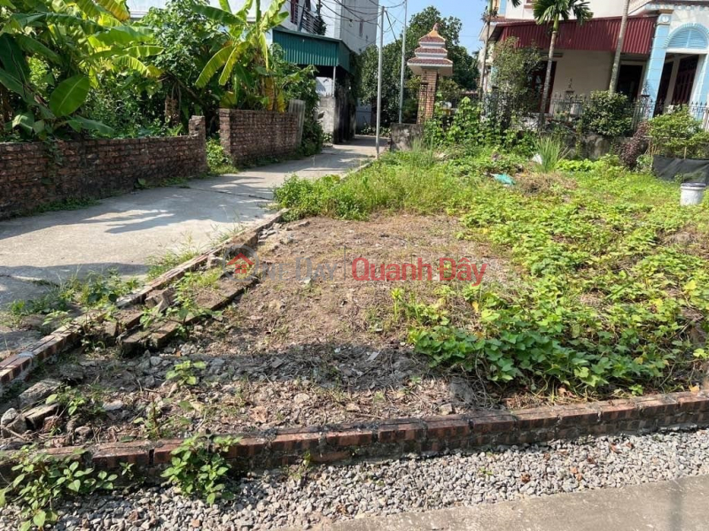 LAND FOR SALE IN DANG XA. GIA LAM. 40M2 * FRONTAGE 5M * 3 BILLION. CAR ALLEY, INVESTMENT PRICE. Sales Listings