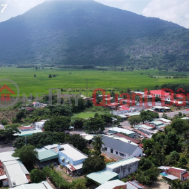 Cheap Price for Land Frontage in Thanh Tan - 400 Million\/ _0