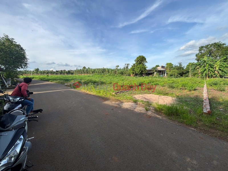 Urgent Sale: 5.3 x 25 meters, widening to 7 meters at the rear - Bau Chinh (new Kim Long commune),Ho Chi Minh City Vietnam | Sales | đ 670 Million