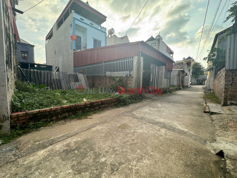 Property Search Vietnam | OneDay | Nhà ở | Niêm yết bán, BÁN ĐẤT 94.8M² – ĐƯỜNG NHẠN, XUÂN NỘN – Ô TÔ VÀO NHÀ