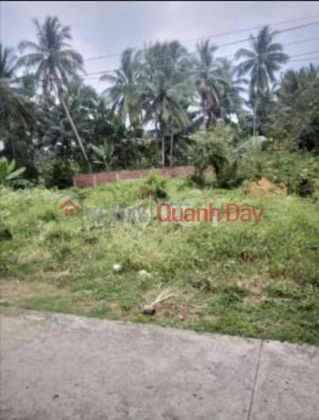 Beautiful Land - Good Price - Owner Needs to Sell Land Lot in Beautiful Location in Quoi Son Commune, Chau Thanh, Ben Tre, Vietnam | Sales | ₫ 7.65 Billion