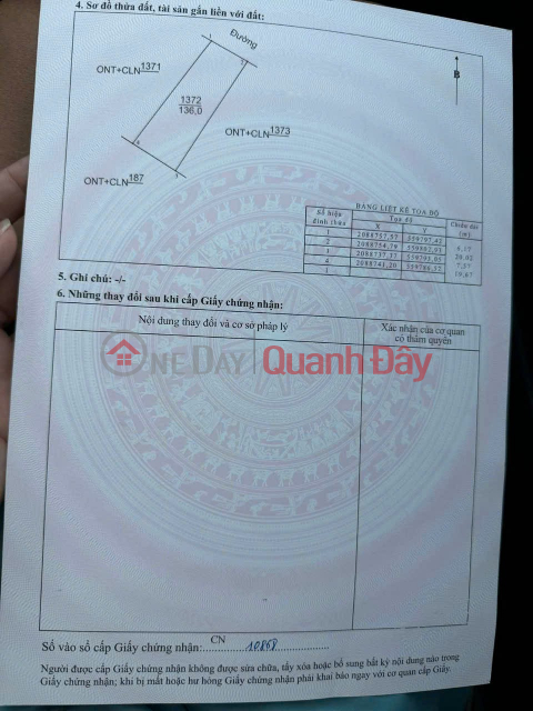 PRIME LAND – GOOD PRICE – OWNER SELLING LAND at Hamlet 3, Lac Son (formerly),Do Luong, Nghe An _0