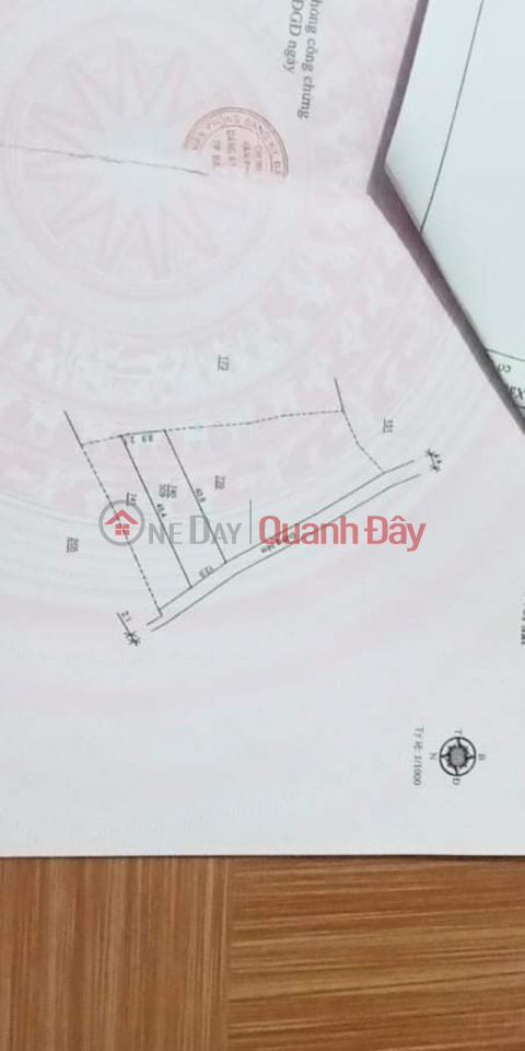 ĐẤT ĐẸP - GIÁ TỐT - Cần Bán Lô Đất Vị Trí Đắc Địa Tại Xã Đại Lào, TP Bảo Lộc, Lâm Đồng _0