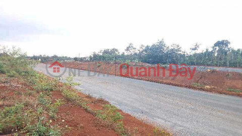 Land for sale on Buon Ma Thuot-Nha Trang highway frontage _0