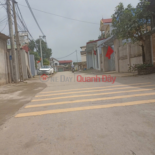 Land for sale in Thuong Phuc village, Bac Hong, Dong Anh. Main road between communes, business frontage Sales Listings
