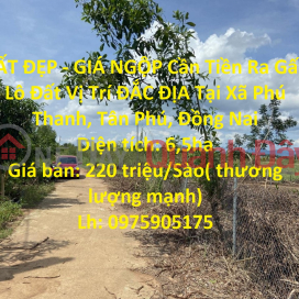 BEAUTIFUL LAND - INCREDIBLE PRICE Need Money Urgently Land Lot GENERAL Location In Phu Thanh Commune, Tan Phu, Dong Nai _0