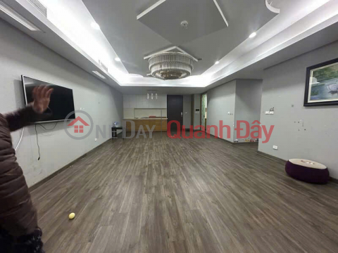 Căn hộ Chung cư cao cấp Dolphin Plaza - 28 Trần Bình 147m² Nam Từ Liêm _0