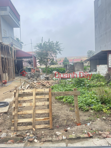 Property Search Vietnam | OneDay | Residential Sales Listings | Need to sell corner lot 75m, Dinh Du, Van Lam, Hung Yen, car parking at the door, price 2 billion