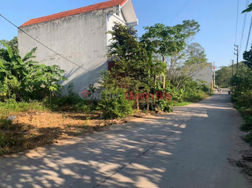 PLOT OF LAND 60M² RIGHT AT THE CAM LAM – DUONG LAM – SON TAY INTERSECTION Vietnam | Sales đ 1.65 Billion