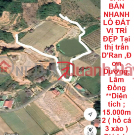 BEAUTIFUL LAND - INVESTMENT PRICE - QUICK SALE OF LAND IN GOOD LOCATION In D'Ran town, Don Duong, Lam Dong _0