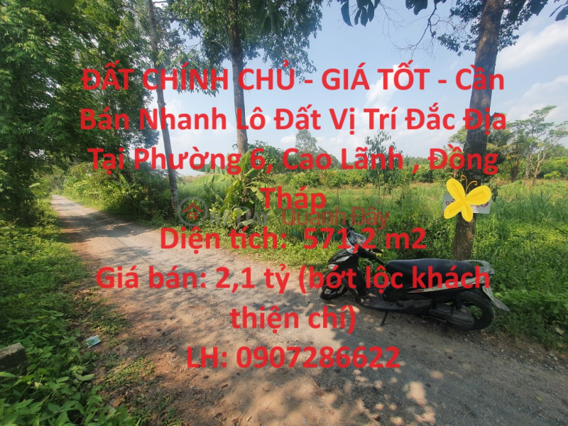 PRIME LAND - GOOD PRICE - For Quick Sale Land Lot Prime Location In Ward 6, Cao Lanh, Dong Thap Sales Listings