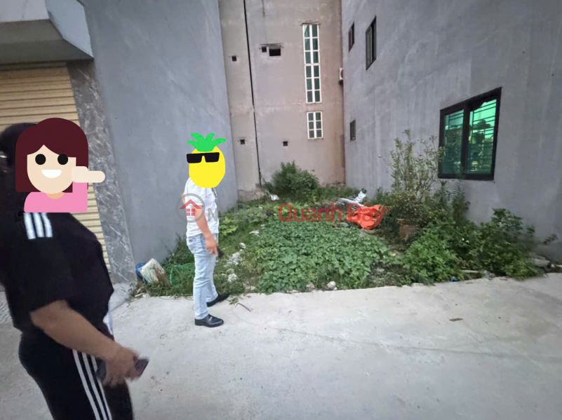 Đất Nền Đẹp Sổ Đỏ - Gần Kcn Quang Minh & Cđ Y Dược Tuệ Tĩnh - Mê Linh, Hà Nội Niêm yết bán