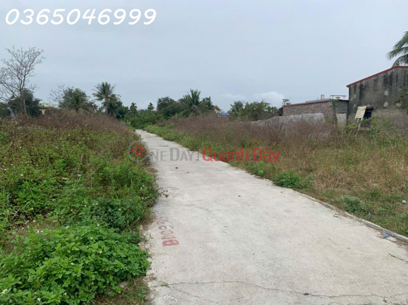 Property Search Vietnam | OneDay | Residential Sales Listings, Need to transfer 2 plots of land in Tan Vu 2, Trang Cat, Hai An