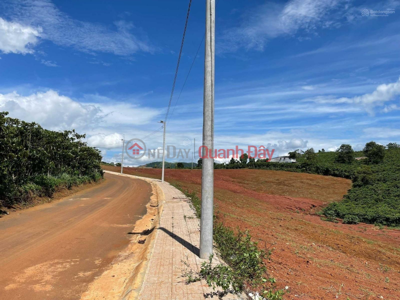 Property Search Vietnam | OneDay | Residential | Sales Listings, Selling 40 lots of land in Loc Ngai commune, divided into lots, red book by owner, each book is 100m2 residential.