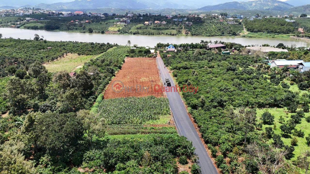 Property Search Vietnam | OneDay | Residential | Sales Listings, BEAUTIFUL LAND - PROFITABLE INVESTMENT - Owner Needs to Quickly Sell Land Lot in Prime Location, Di Linh Town, Lam Dong